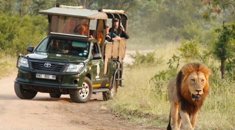2-Day Exclusive Kruger Safari – Big Five & Luxury Lodge