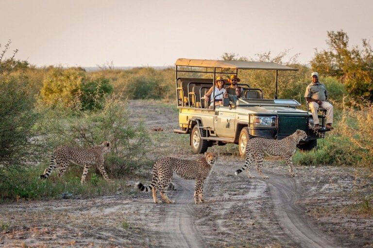 6-Day Kruger Luxury Big Five Safari Escape