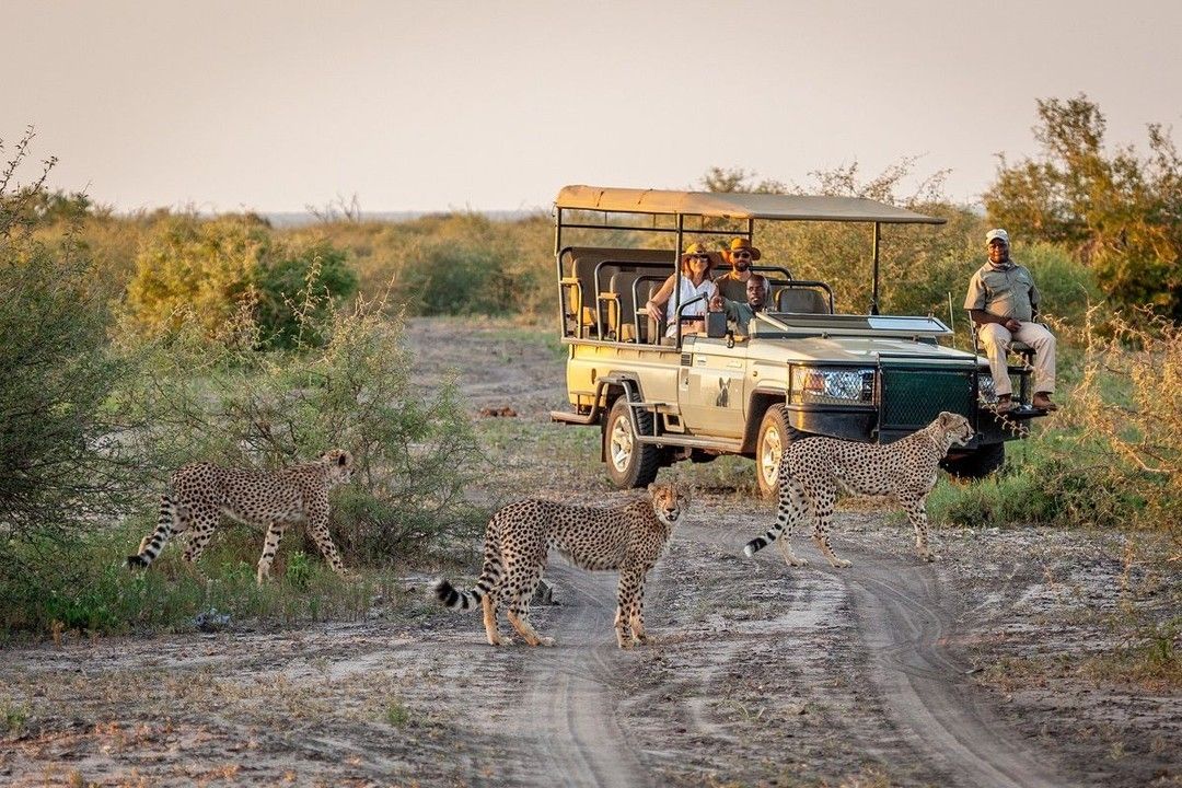 Kruger Luxury Big Five Safari Escape