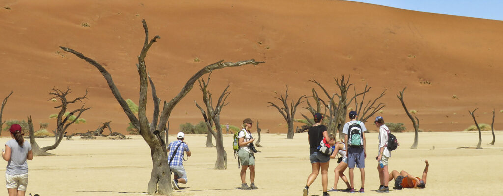 7-Day Ultimate Namibia Adventure: Dunes, Coast & Safari