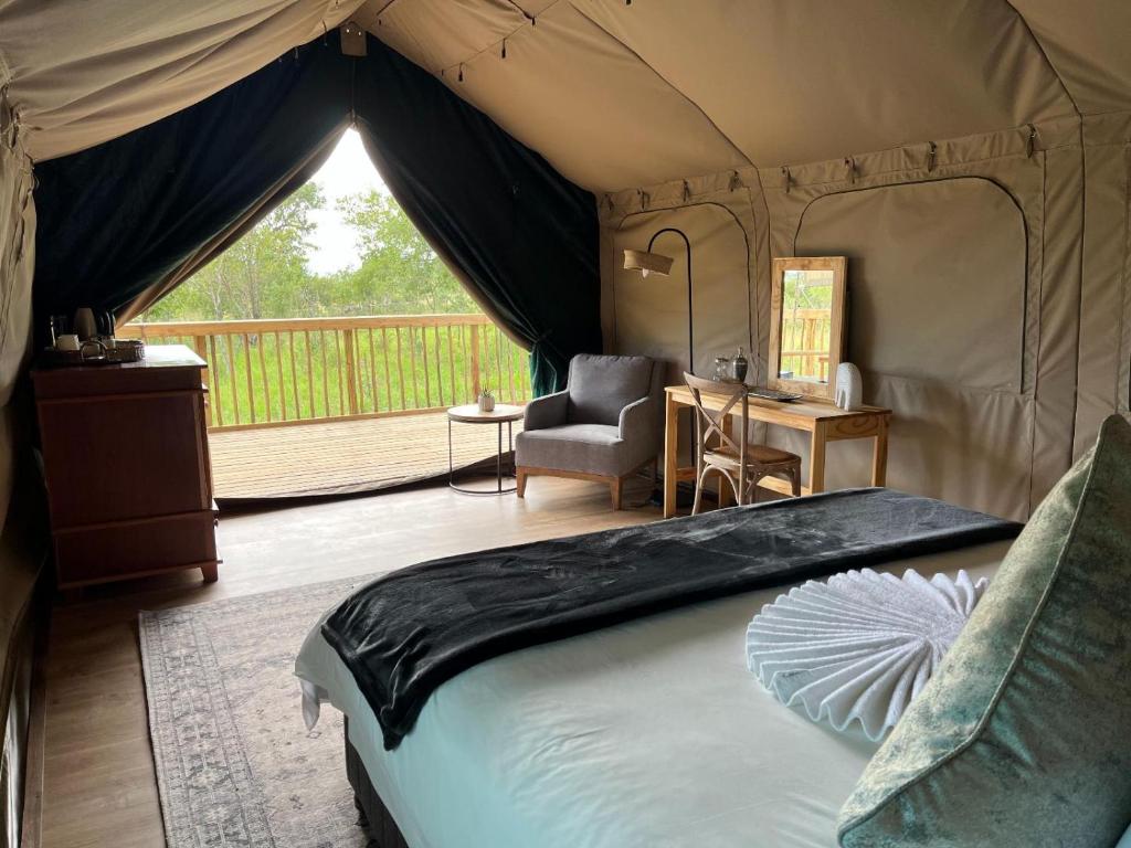 3-Day Wildlife Safari at Langa Langa Safari Camp