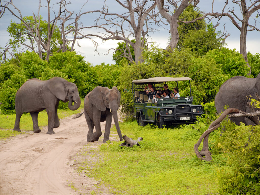 4-Day Mid-Range Experience – Chobe Big Five Safari