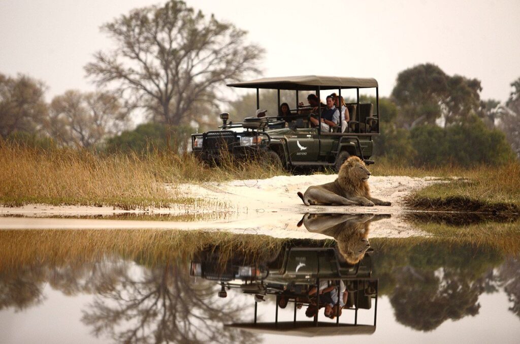 2-Day Okavango Delta Luxury Safari Escape