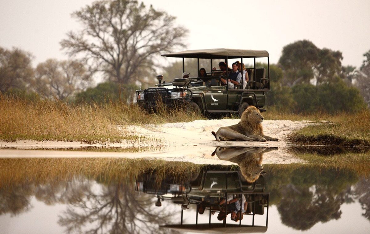 Okavango Delta Luxury Safari Escape