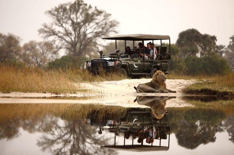 2-Day Okavango Delta Luxury Safari Escape
