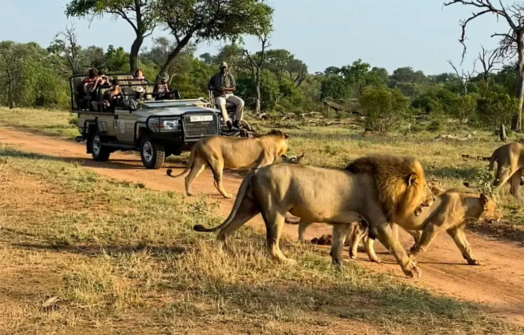 Safari Getaway near Cape Town