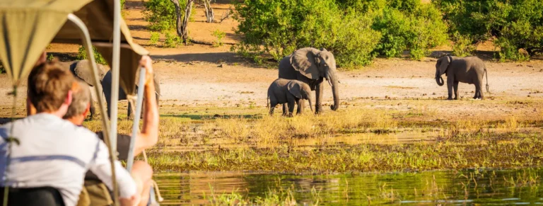 1-Day Wild Chobe Big Five Safari – Kasane Pickup