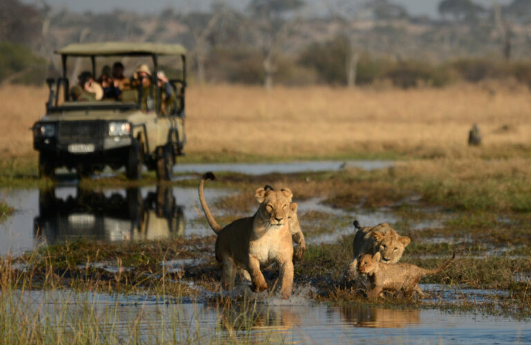 2-Day Chobe Wildlife Safari – Big Game on Land & Water
