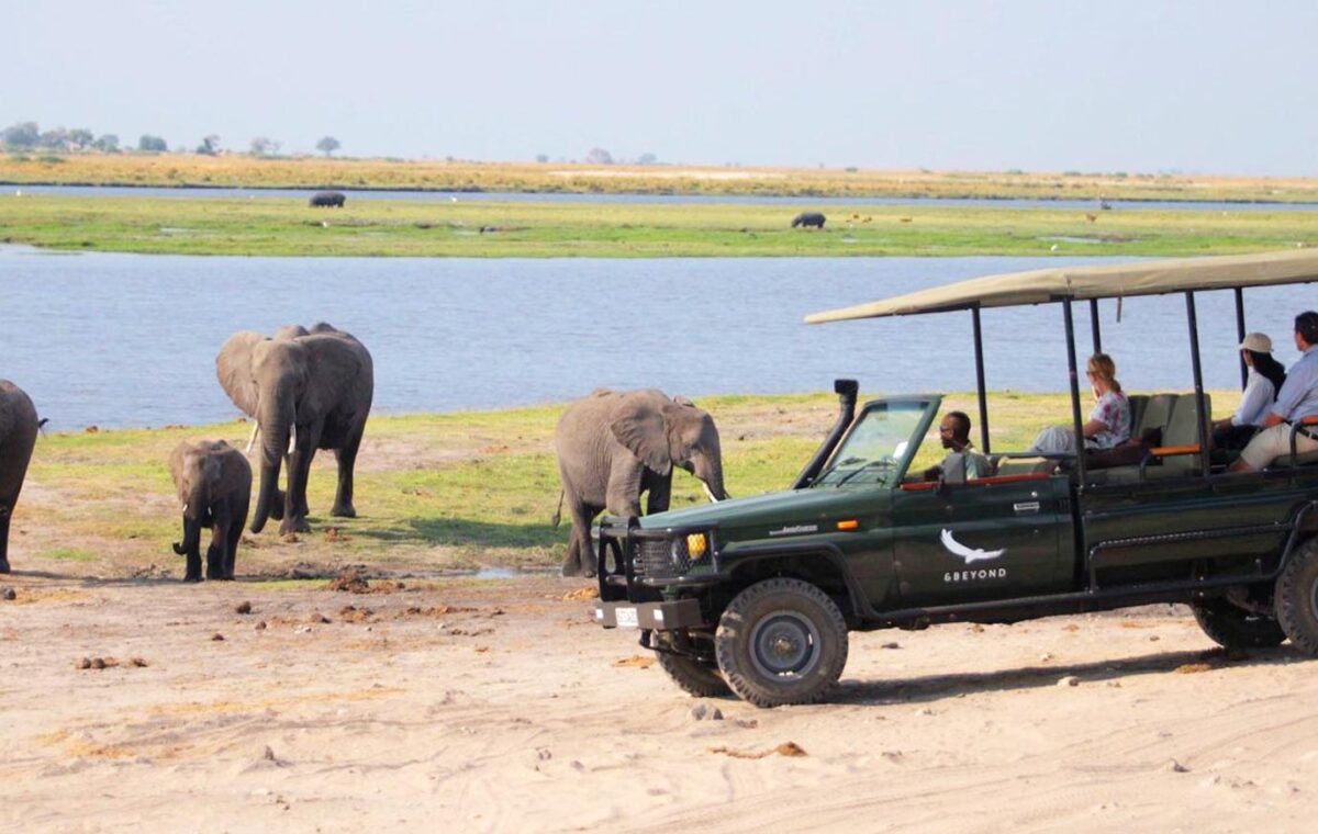Chobe and Okavango Wildlife Safari