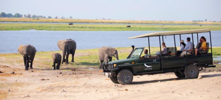 3-Day Chobe and Okavango Wildlife Safari