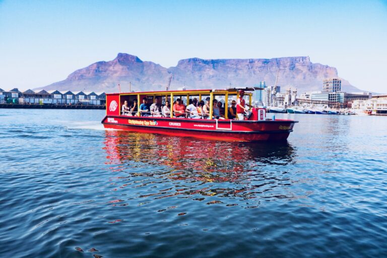 1/2 Day Relaxed Canal Cruise with Table Mountain Views