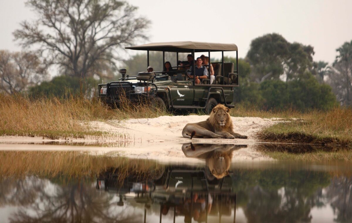 Chobe & Okavango Delta Adventure