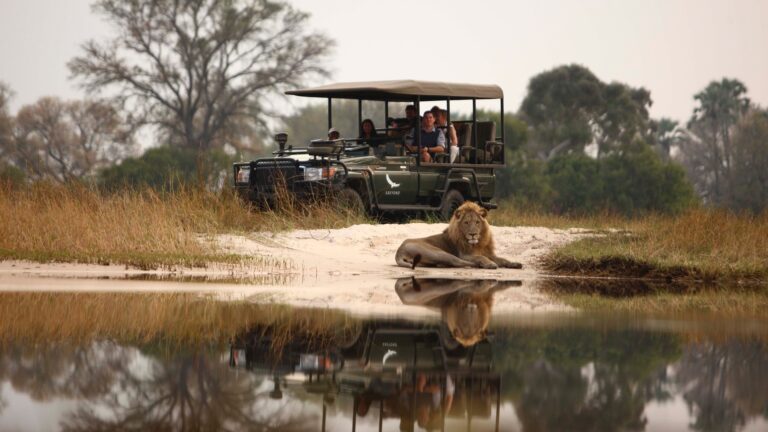 6-Day Big Five Safari: Chobe & Okavango Delta Adventure
