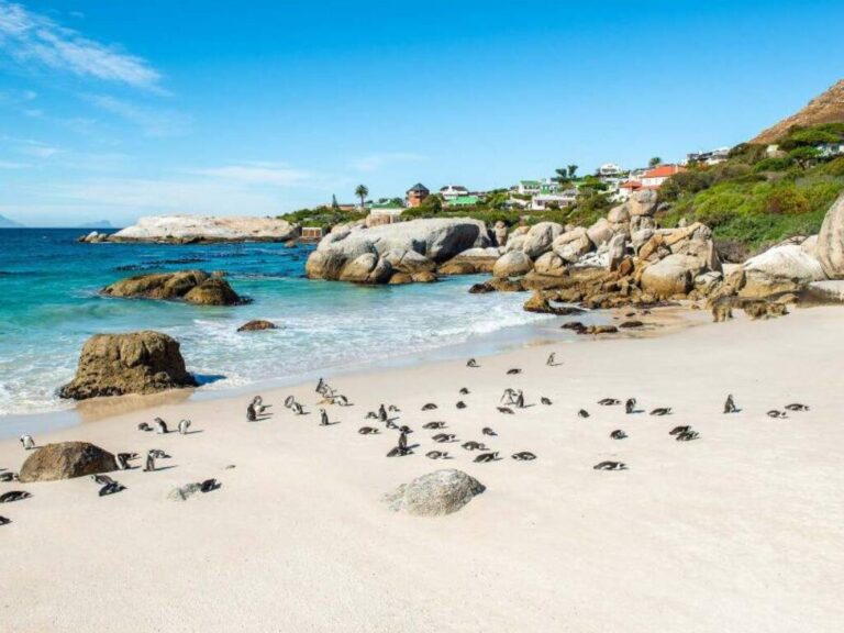 1-Day Cape Town Coastal & Peninsula Scenic Tour