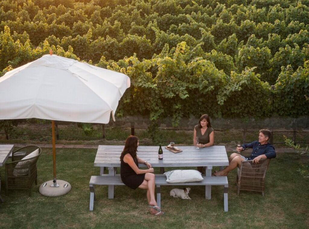 1-Day Cape Winelands Tour