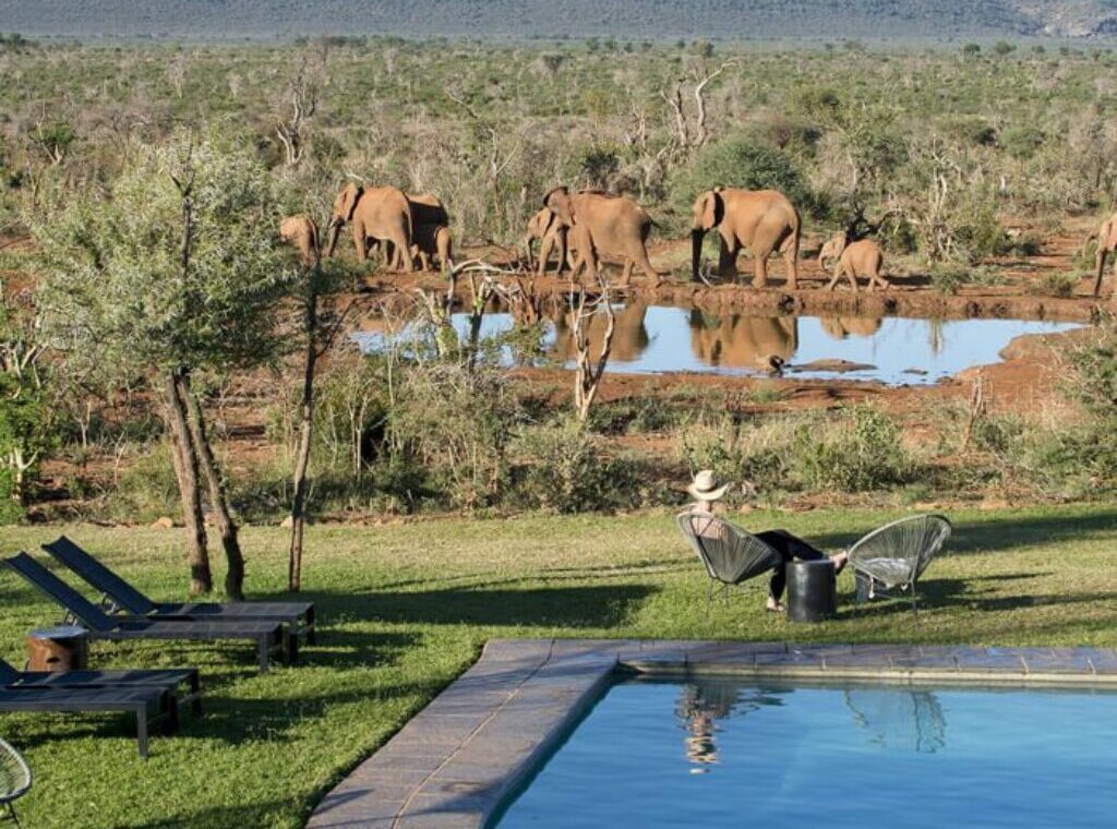 3-Day Madikwe Safari