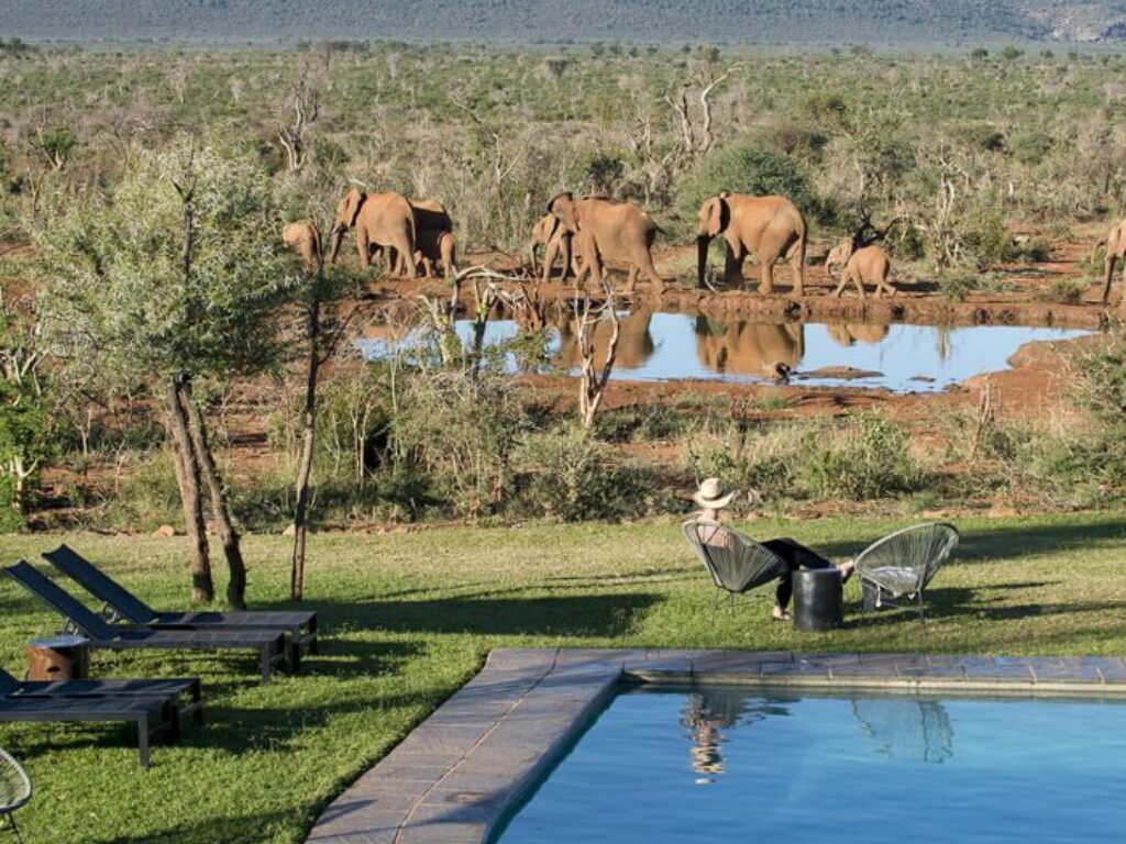 3-Day Madikwe Big Five Safari –African Adventure