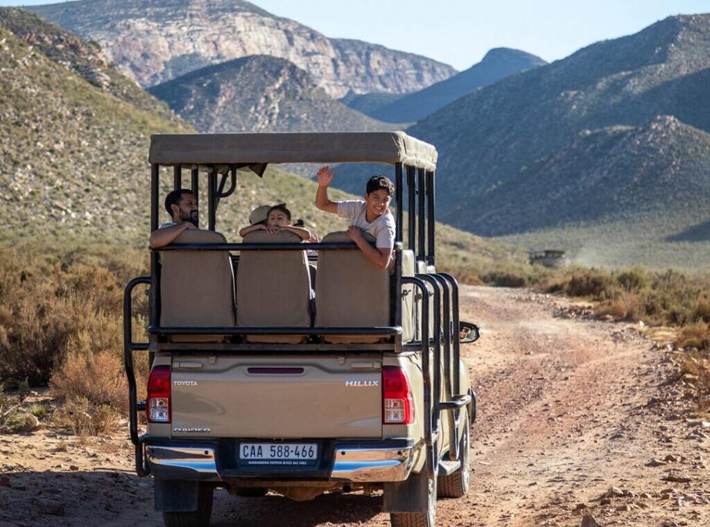 3-Day Cape Town Big Five Safari