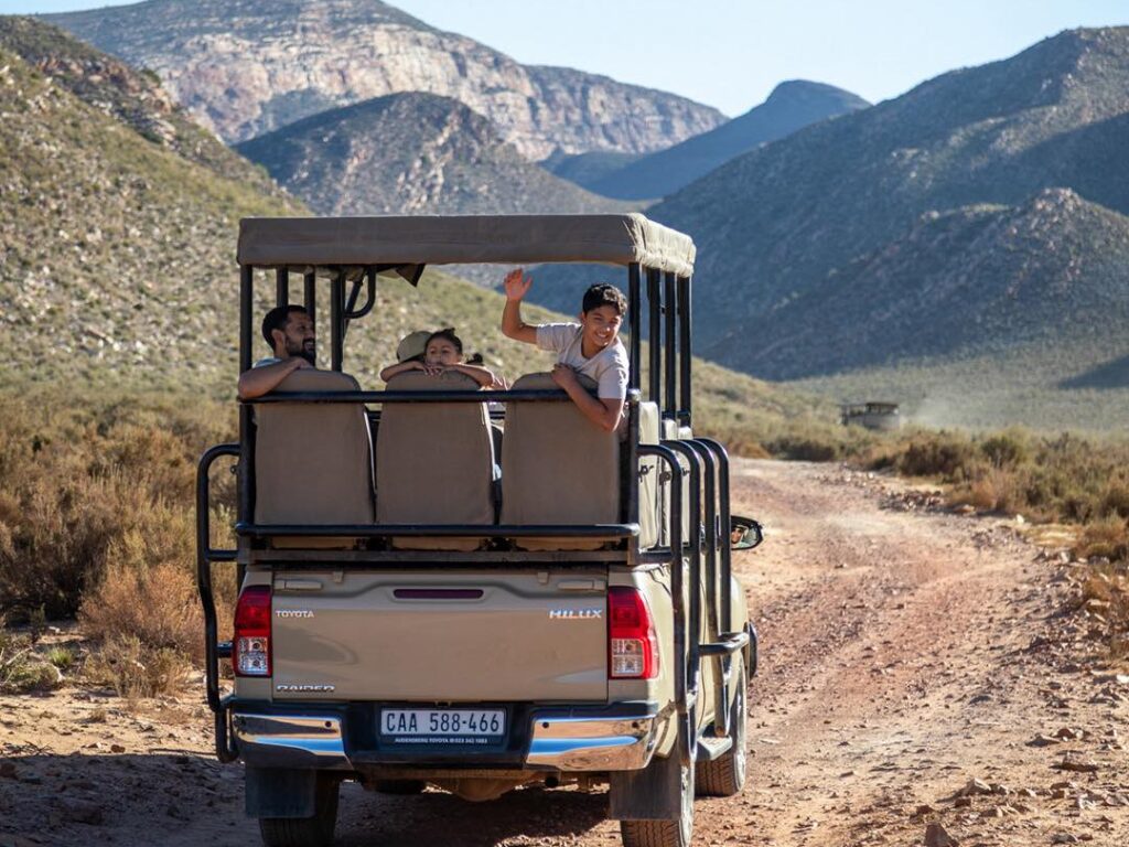 3-Day Cape Town Wildlife Getaway