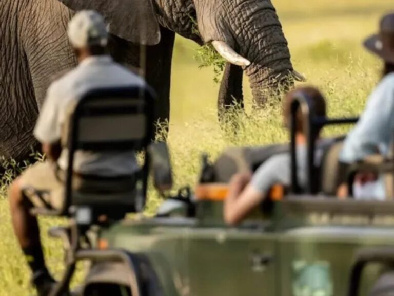 4-Day Adventure – Sabi Sands Safari Lodge Escape