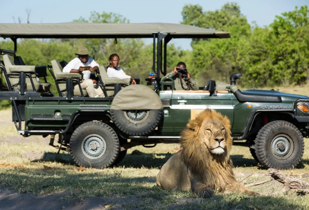 15-Day Southern Africa Adventure: Wildlife & Culture Tour