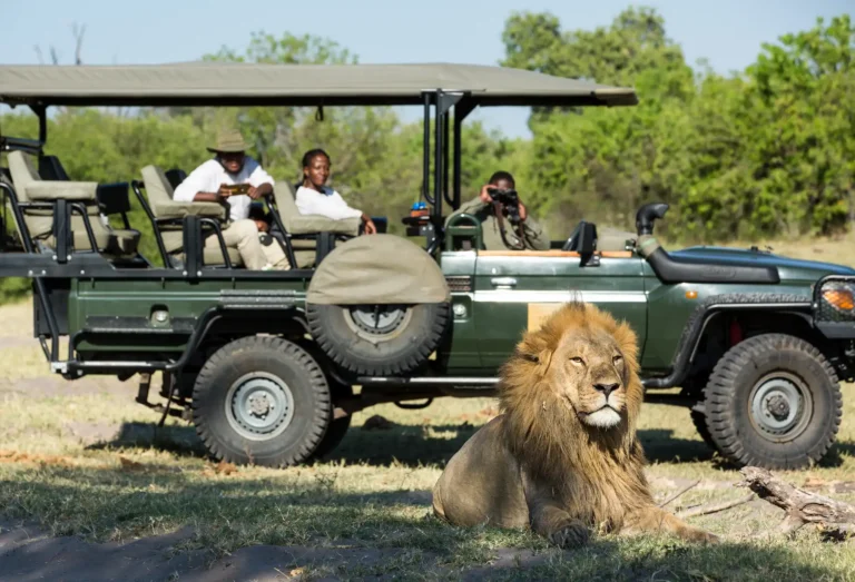 15-Day Southern Africa Adventure: Wildlife & Culture Tour