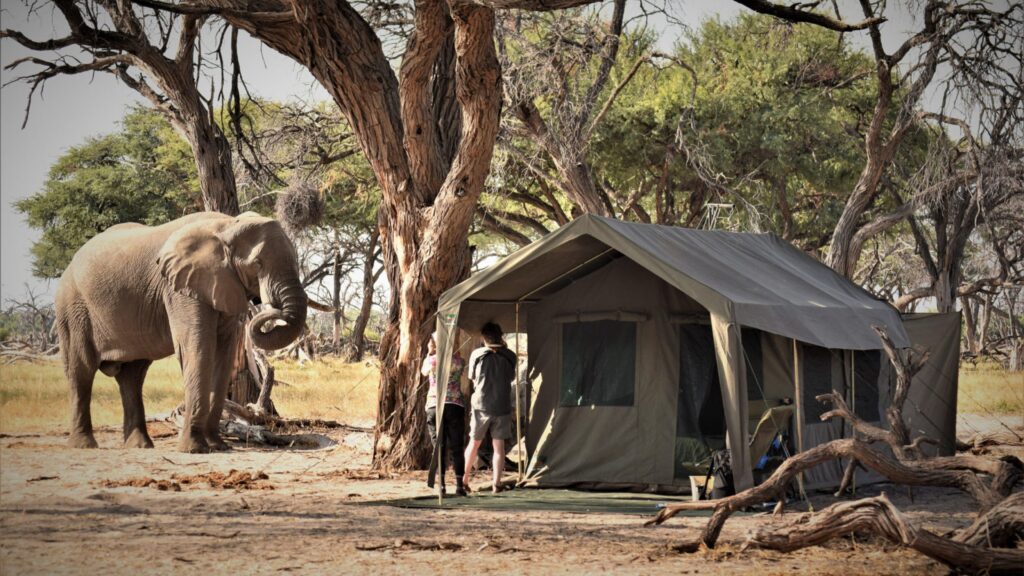 5-Day Big Five Camping Safari with Panorama Highlights
