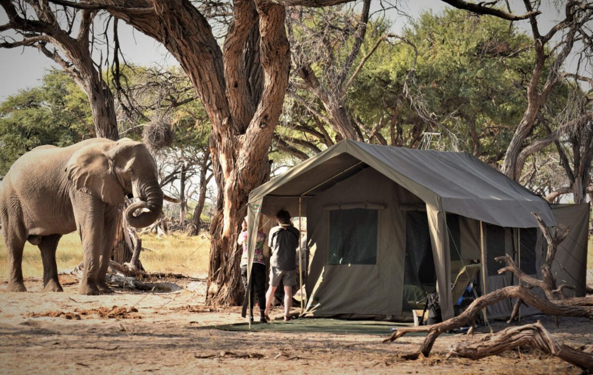 Camping Safari with Panorama Highlights