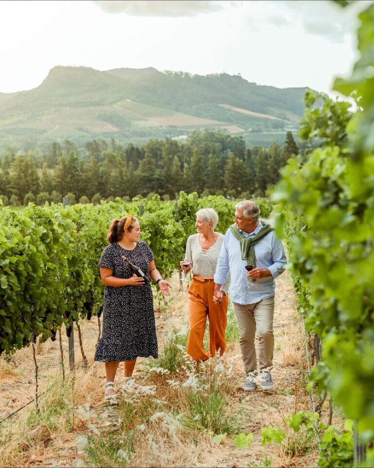 3-Day Boat Cruise, Peninsula & Wine Tour