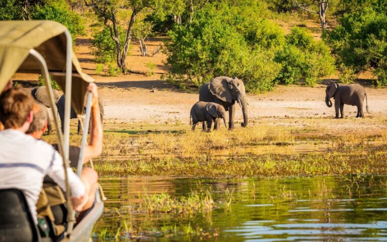 3-Day Authentic Chobe Safari – Big Five & Luxury Stay