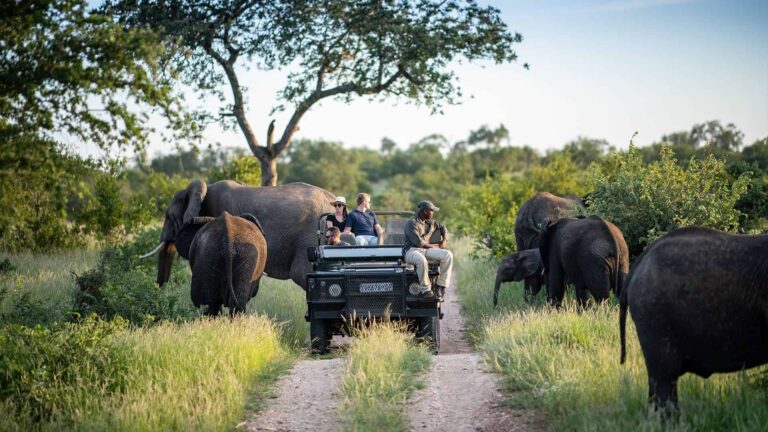 6-Day Authentic Kruger Big Five Safari Adventure