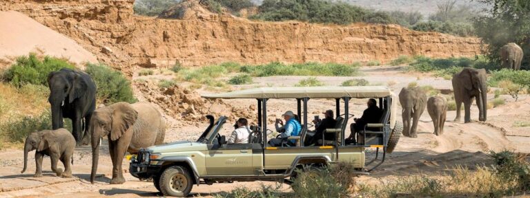 12-Day Namibia Wildlife & Cultural Safari Adventure