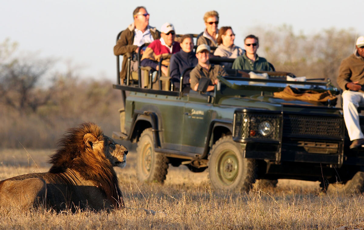 Sabi Sands Safari