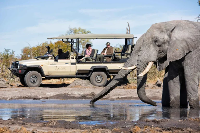 2-Day Etosha Safari from Windhoek – Lions, Elephants & More