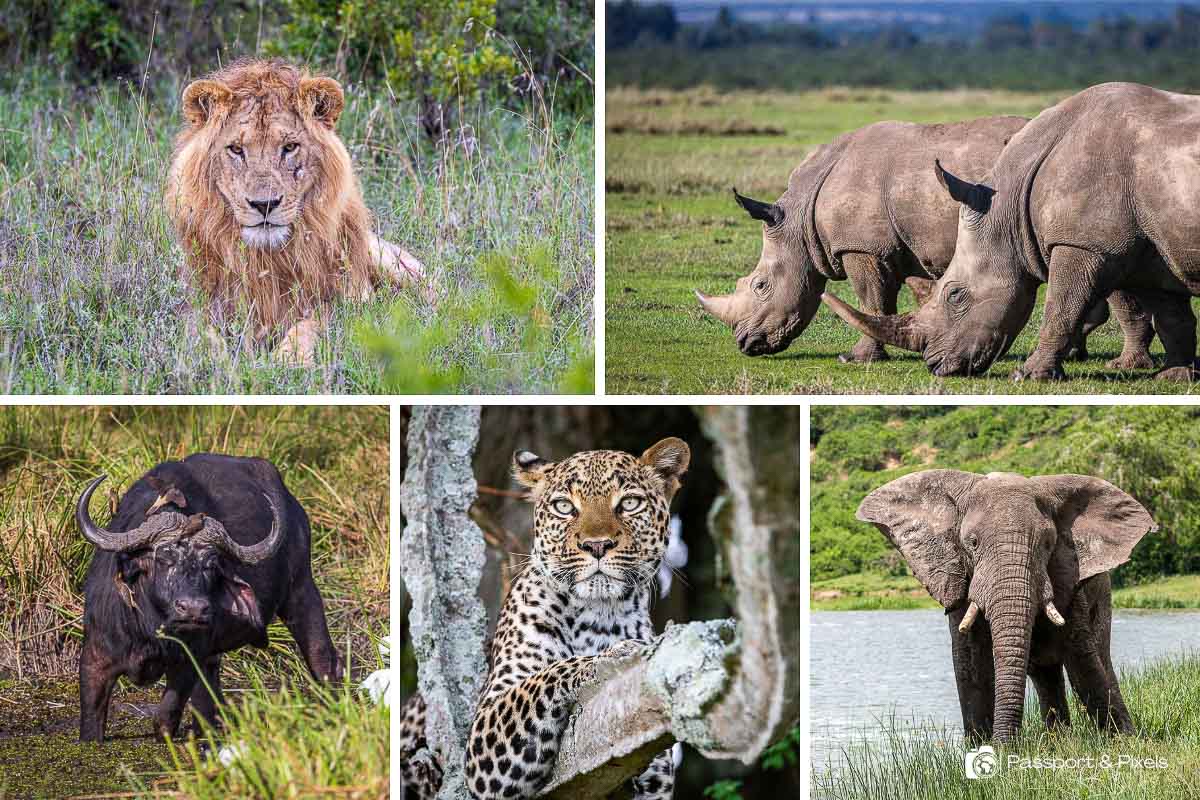 Big Five