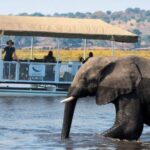 3-Day Authentic Chobe Safari