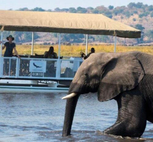 3-Day Authentic Chobe Safari