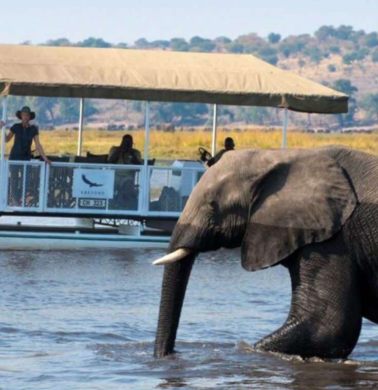 3-Day Authentic Chobe Safari