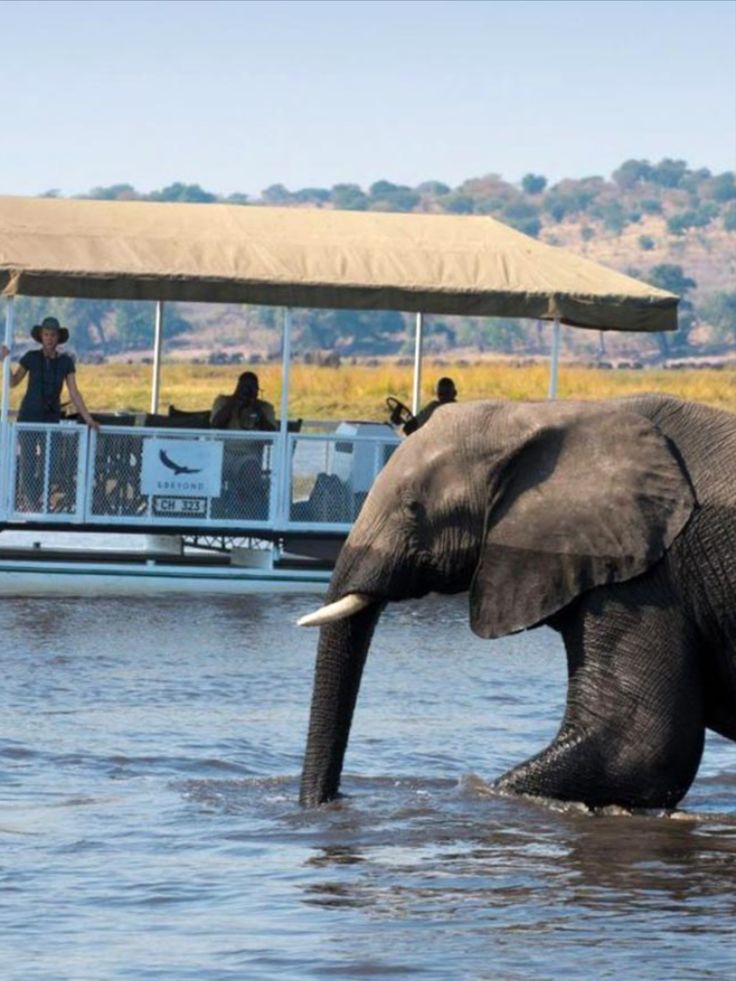 3-Day Authentic Chobe Safari