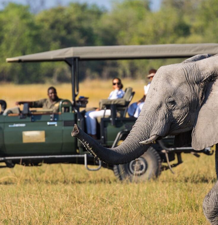 Full Game Drive Safari