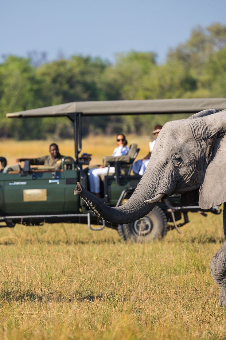 1-Day Full Game Drive Safari at Dinokeng Game Reserve