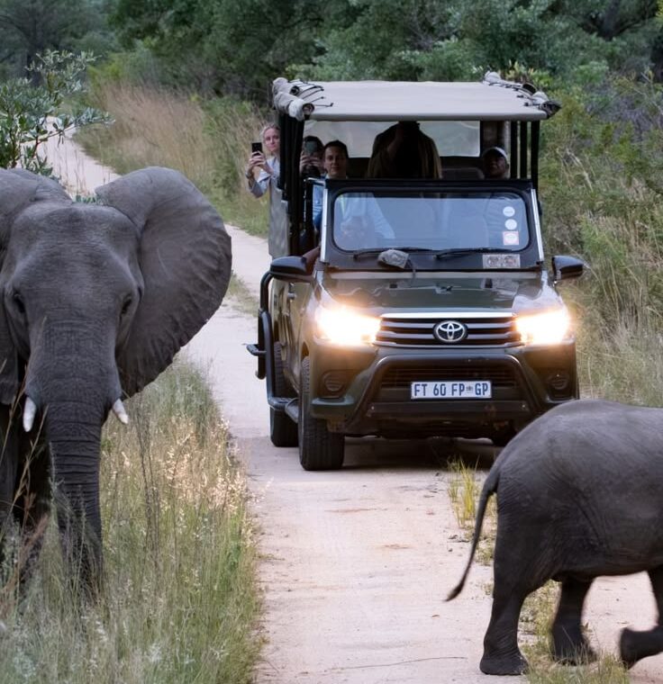 7 day budget Kruger &Victoria falls & Chobe safari