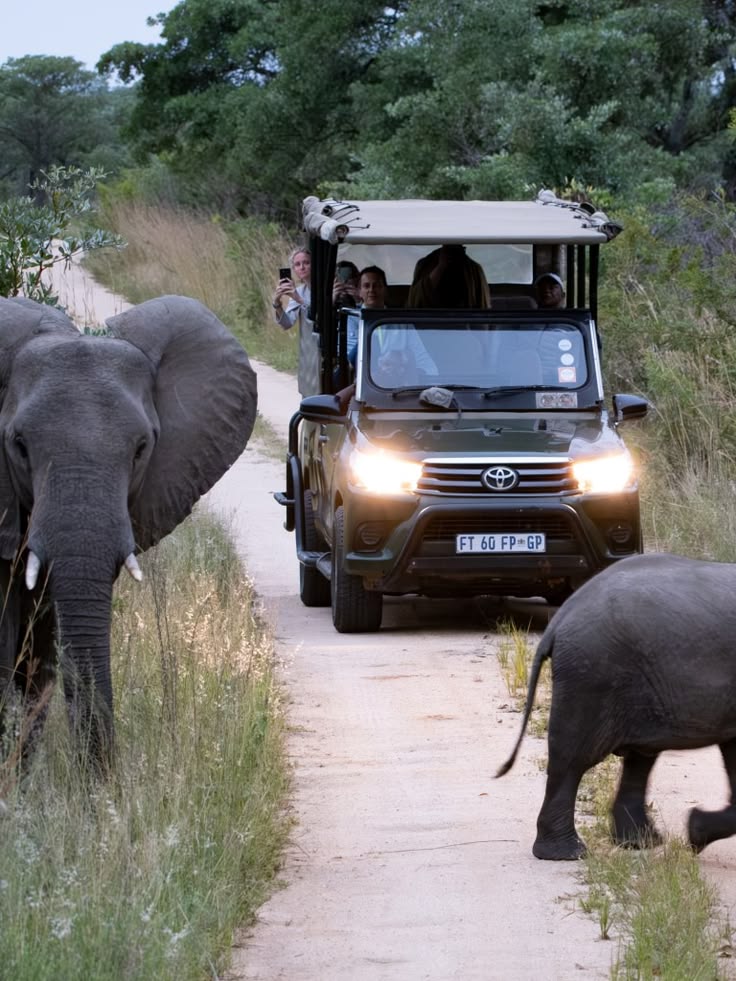 7 day budget Kruger, Victoria falls & Chobe safari