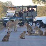 How to get to Kruger