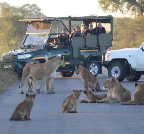 How to get to Kruger
