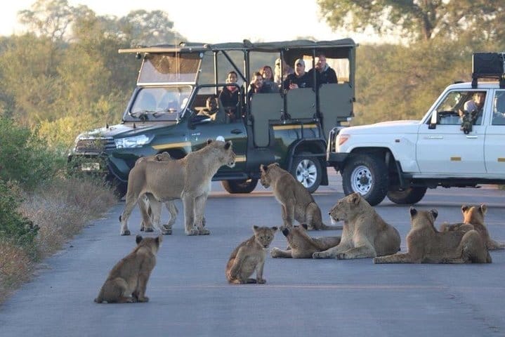 How to get to Kruger