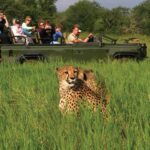 7 day affordable Kruger and Victoria falls adventure
