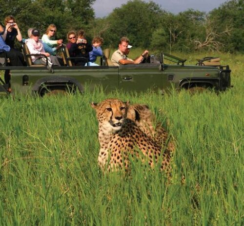 7 day affordable Kruger and Victoria falls adventure