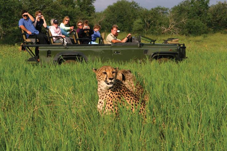 3-Day Madikwe Big Five Safari –African Adventure