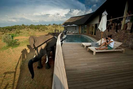 3-Day Exclusive Luxury Escape at Black Rhino Game Lodge